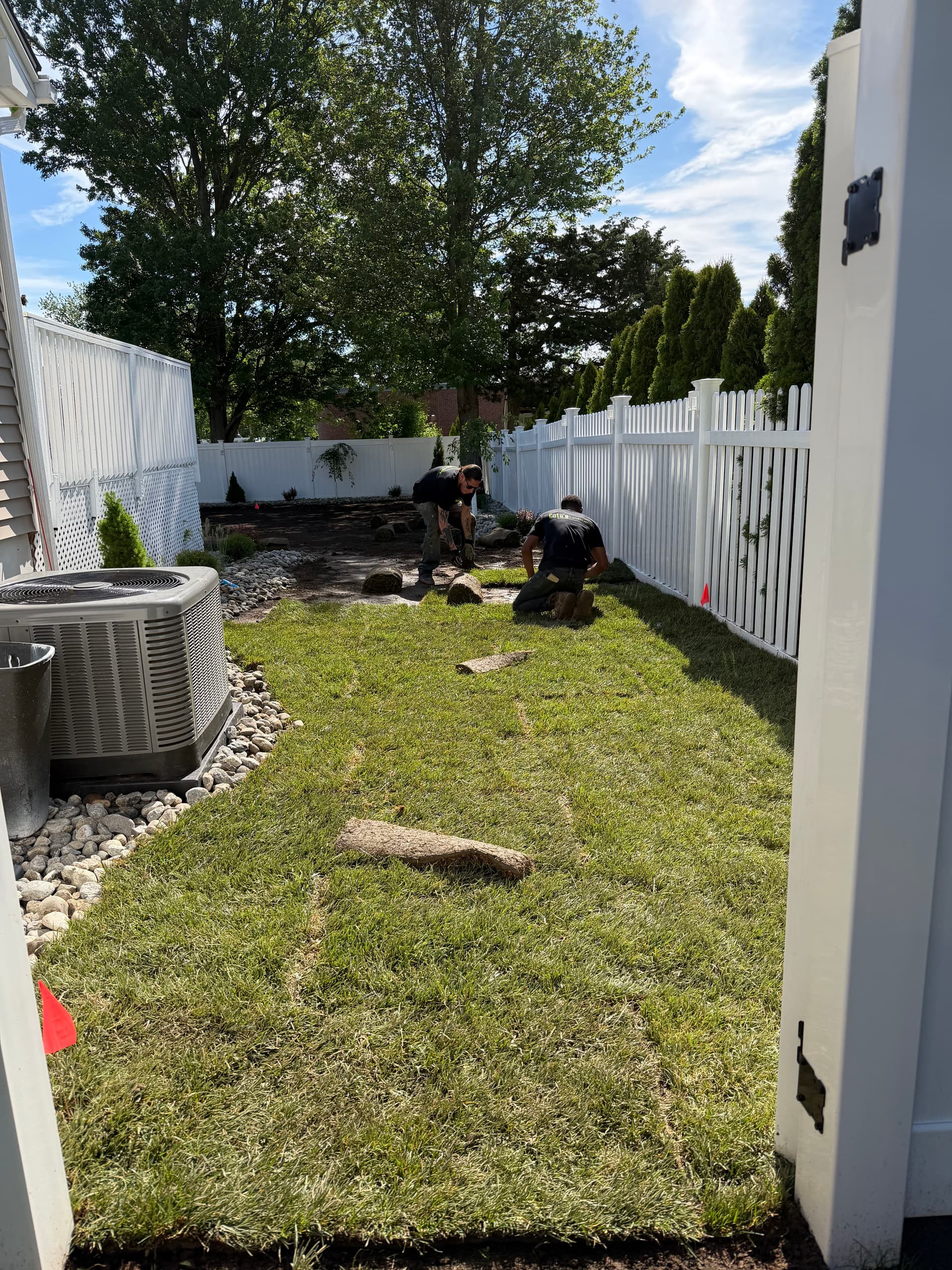 Gallery photos for Backyard Sod Install and New Plantings Done Right: Image #2
