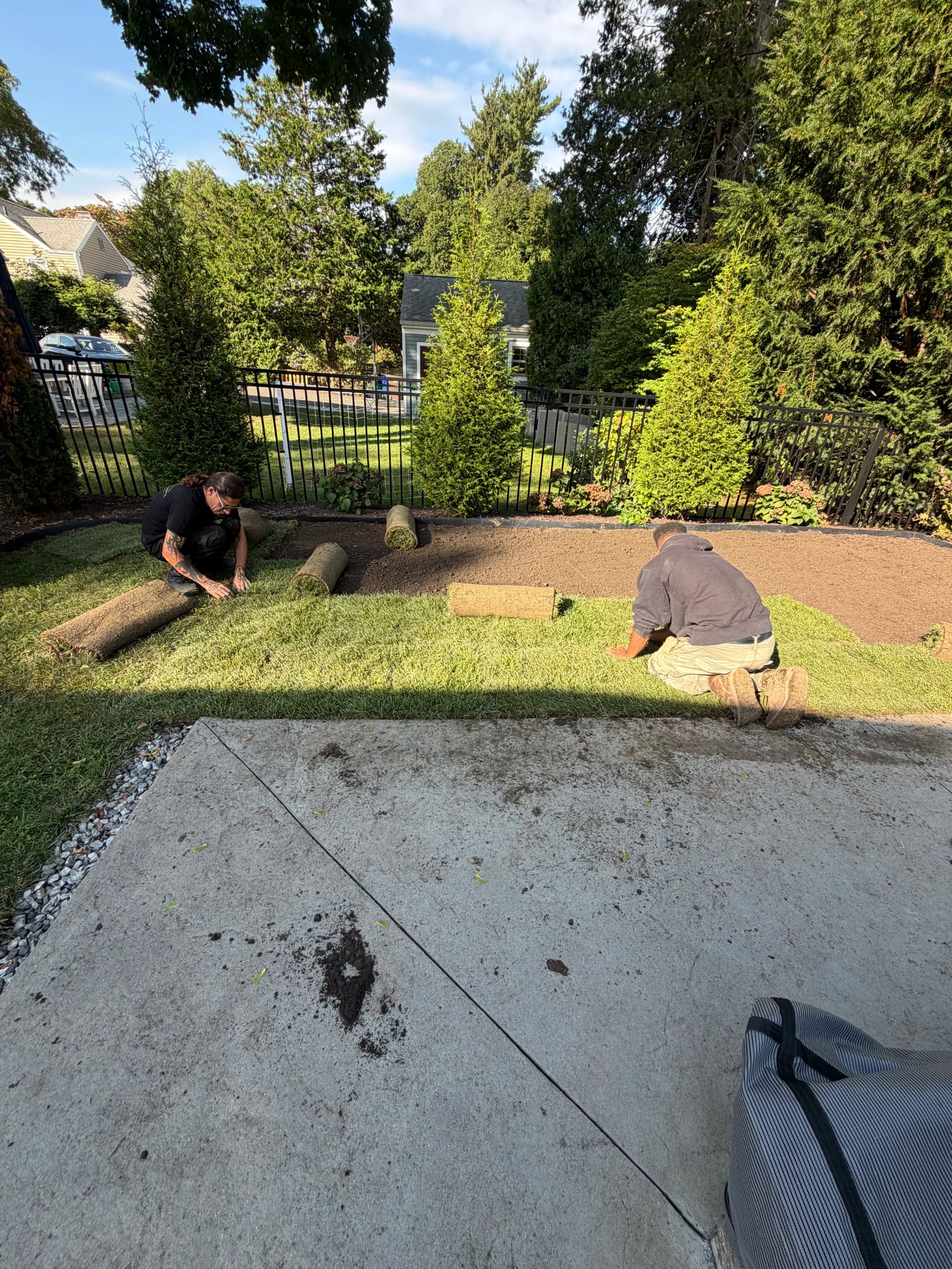 Fresh Sod Installation That Gives Your Backyard a Real Reset image
