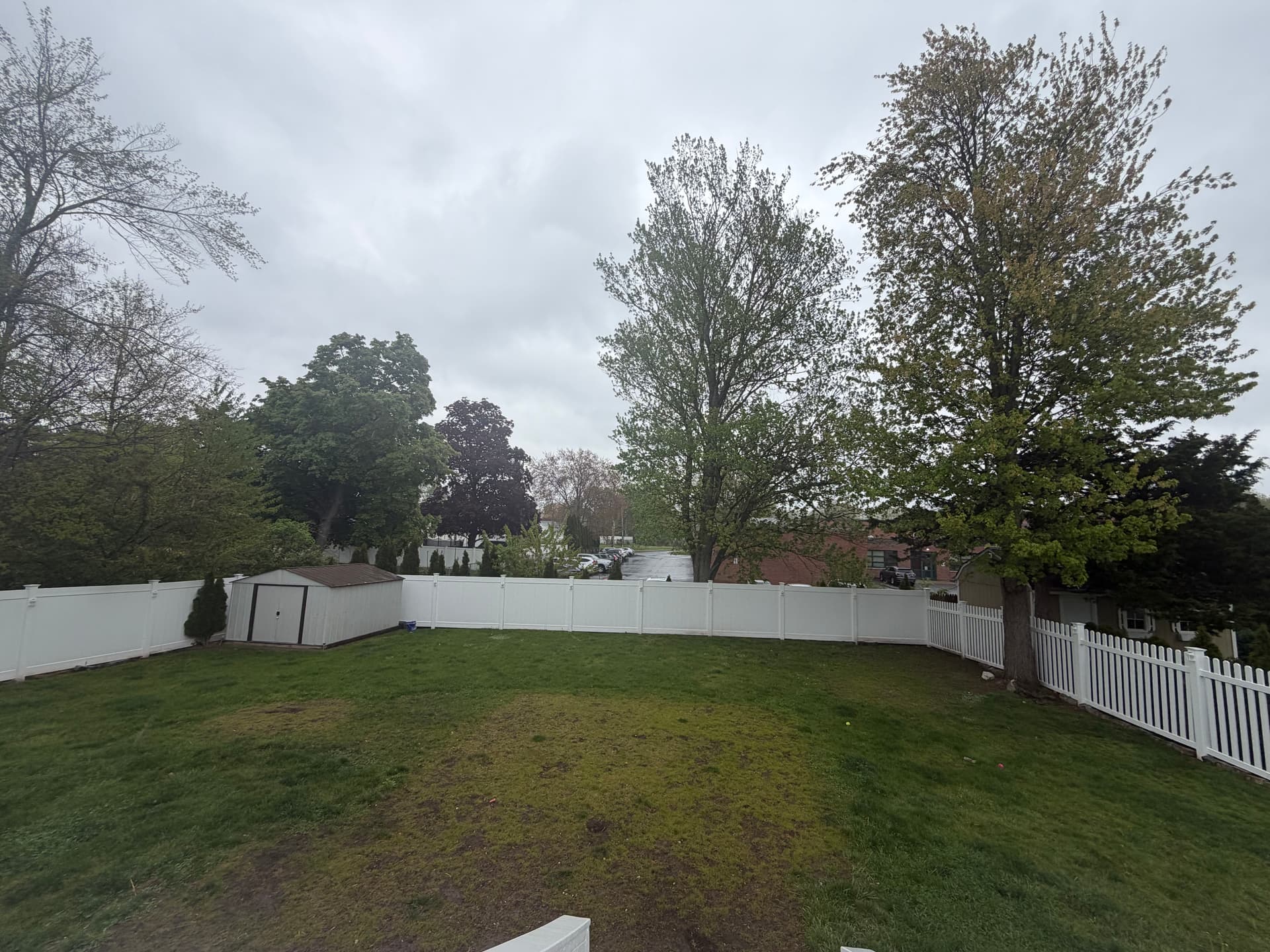 Backyard Sod Install and New Plantings Done Right image