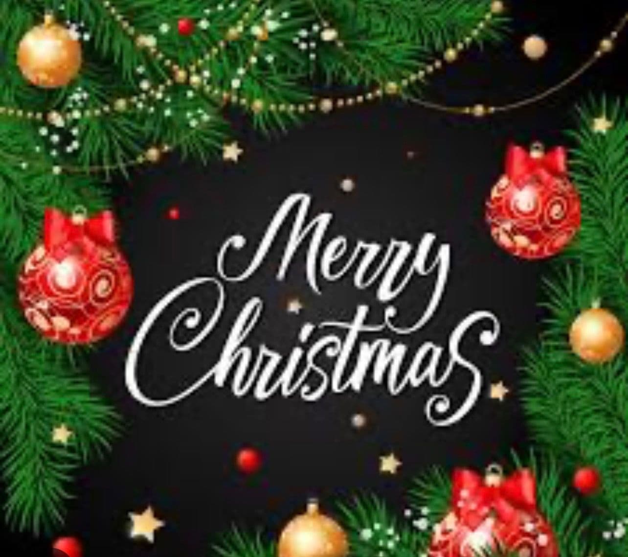 Project Festive Christmas Greetings from Cote's Landscaping image