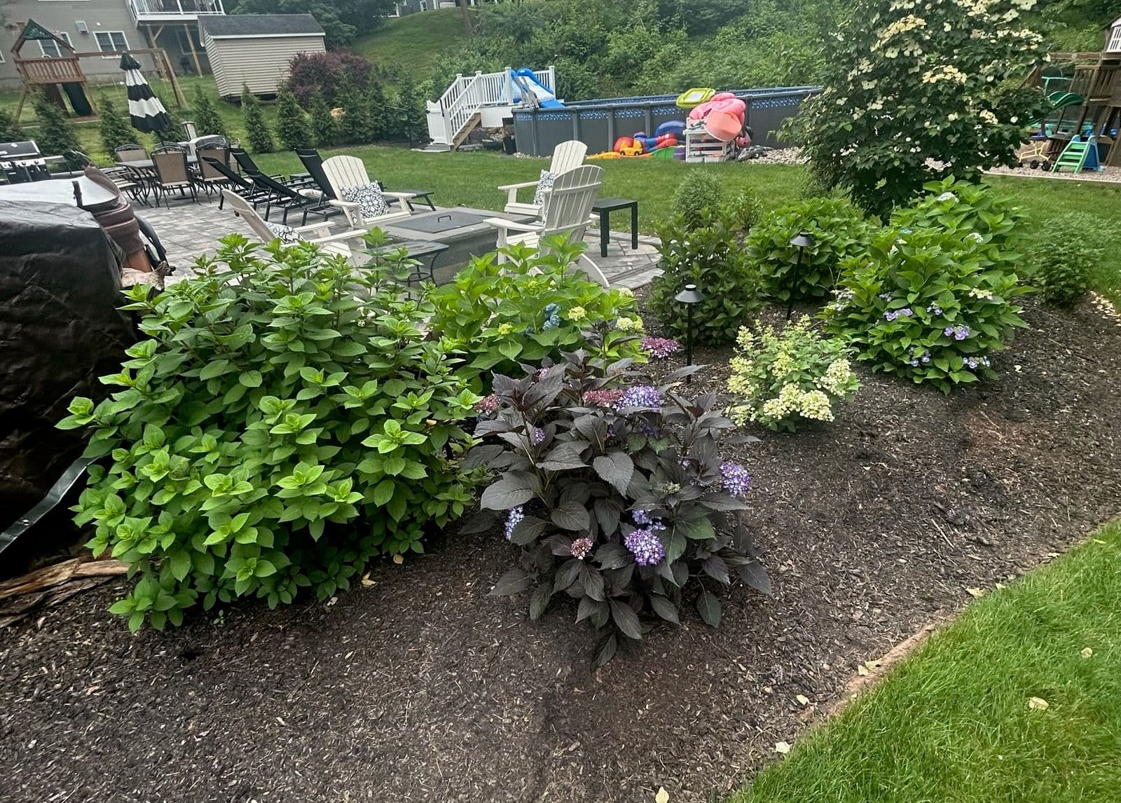 Project Transform Your Backyard Into a Vibrant Oasis image