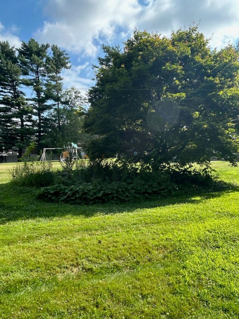 Boulder Island Makeover with Fresh Mulch image