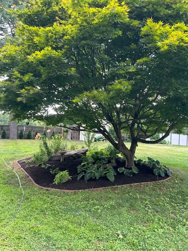 Gallery photos for Boulder Island Makeover with Fresh Mulch: Image #1