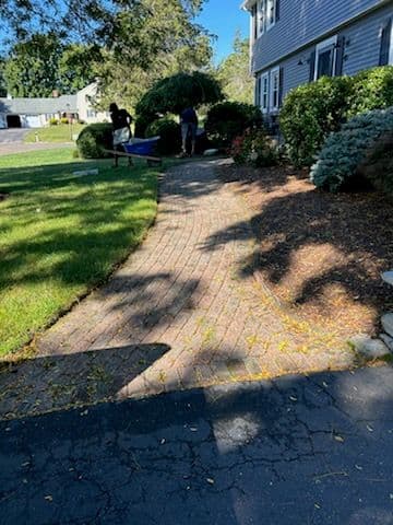 Modern Walkway and Entrance Transformation