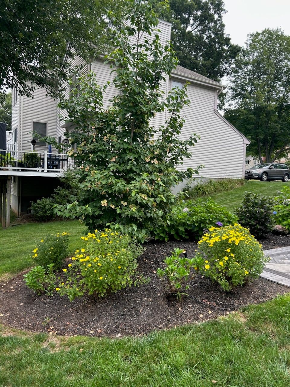 Experience a Flourishing Garden with Cote's Landscaping image