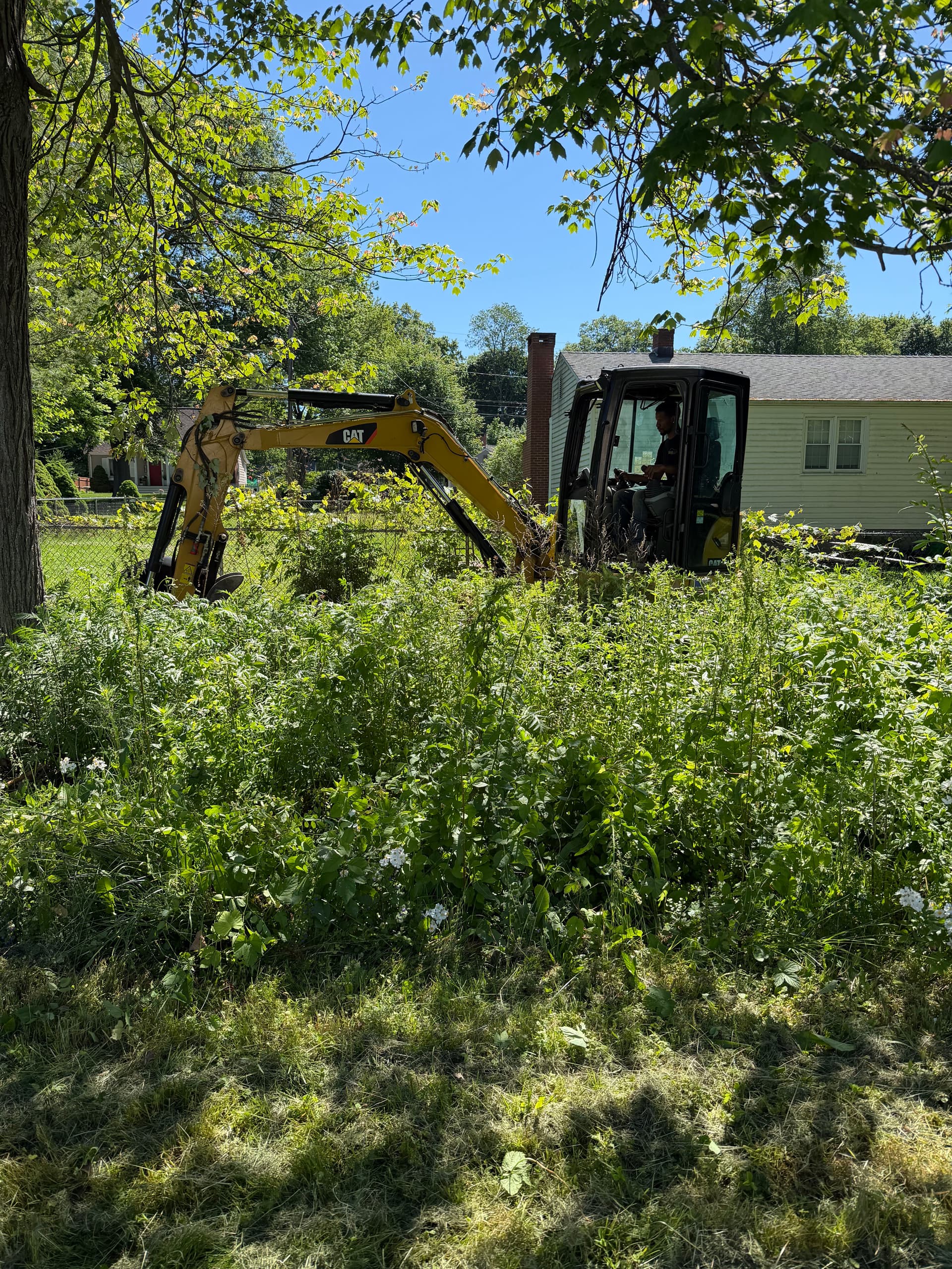 When Overgrown Areas Take Over, We Bring the CAT image